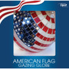 Alpine 10 In. Dia. Glass American Flag Gazing Globe GRS688 705702