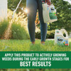 Roundup For Lawns 1.25 Gal. Refill Northern Formula Weed Killer 5020110 704912