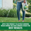 Roundup For Lawns 1 Gal. Ready To Use Wand Sprayer Northern Formula Weed Killer 5020710 704906