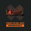Amdro 6 oz. Ready To Use Granules Fire Ant Killer 100550853 725757