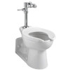 Toilet Manual Flush Valve, 1.28 gpf gpf, 1 in Inlet, Non-Hold Open Oscillating  6047122.002
