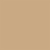 Interior-Exterior Paint, High Gloss, Oil Base, Dunes Tan, 1 gal  245382