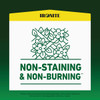 Ironite 15 Lb. 5000 Sq. Ft. Coverage Soluble Iron 100544883 713026
