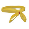 Lift-All Tow Strap,Nylon,2700 lb.,2in.,20 ft. TS1802NX20
