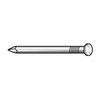 Manufacturer Varies Flat Head Anchoring Spikes,12 in L,PK13 4NFC2