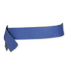 Ergodyne Cooling Bandana,Blue,One Size 6705CT