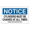 Brady Gas Cylinder Label,3 In. H,5 In. W,PK10, 60314 60314