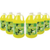 Gold Medal Frusheez Margarita Flavor 1-2 Gal. Slush Mix 1246 977251