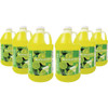 Gold Medal Frusheez Margarita Flavor 1-2 Gal. Slush Mix 1246 977251