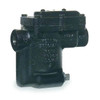 Bell & Gossett Steam Trap,125 psi,6-15/16 In. L B1125S-2