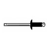 Blind Rivet, Dome Head, 1/8 in Dia., 21/32 in L, Stainless Steel Body, 500 PK
