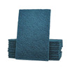 Lps Scouring Pad,8 7/8 in L,Blue,PK60 59660