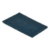 Lps Scouring Pad,8 7-8 in L,Blue,PK60 59660