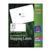 Laser/Inkjet Label, 4 in Label W, 2 in Label H, 10 Labels per Sheet White