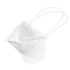 Cleanroom Mask, Dual, Non-Adjustable Strap, Metal Nose Clip, White, M, 300 PK  62484