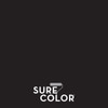 Rust-Oleum Sure Color Flat Black Interior Wall Paint and Primer, Gallon 380216 773306