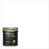 Rust-Oleum Interior-Exterior Paint, High Gloss, Oil Base, Clear, 1 gal 245381