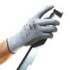 Cut Resistant Coated Gloves, Cut Level A2 ,Polyurethane ,Smooth ,6 1 PR  11-627