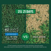 eZ Seed 10lb Sun&shade Ez Seed 17540 764797