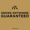 eZ Seed 10lb Sun&shade Ez Seed 17540 764797