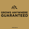 eZ Seed 20lb Sun & Shade Ez Seed 17504 700143