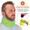 Ergodyne Cooling Neck Gaiter,Lime, S-M 6489
