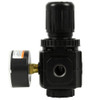 Powermate Regulator,3-8" NPT P019-0343SP