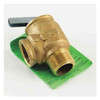Apollo Valves Water Relief Valve,3/4",30psig,535000Btu 10-407-05