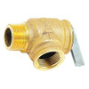 Apollo Valves Water Relief Valve,3-4",30psig,535000Btu 10-407-05