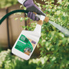 Bonide MossMax, 32 Oz. Ready To Spray Hose End Algae, Moss, & Lichen Control 728 716659