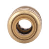 Sharkbite Push-Fit Coupling Fitting, 1-4 in Tube Size, Brass, Brass U004LFA