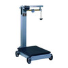 Fairbanks Mechanical Floor Scale 1000 lb. Capacity 55652