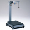 Fairbanks Mechanical Floor Scale 1000 lb. Capacity 55652