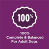 Purina Dog Chow Complete 44 Lb. Lamb Adult Dry Dog Food 179020 739317