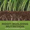 Turf Builder 5.6# Tb Tall Fescue Seed 18047 748080