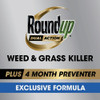 Roundup Dual Action Pump 'N Go 1.33 Gal. Wand Sprayer Weed & Grass Killer 5377504 749043