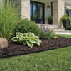 Dig-Free 25' Blk Nodig Cld Edging 41225 728426