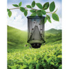 Magic Mesh Hanging Insect Trap MM721006 635703