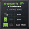 Greenworks 24V 4.0 Ah USB Battery BB240CA 718324
