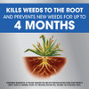 Roundup Dual Action 1 Gal. Ready To Use Weed & Grass Killer with Sure Shot Wand 5378304 744449