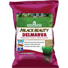 Black Beauty 7# Delmrv Grass Seed 10391