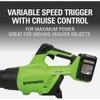 Greenworks 2x24v Brushless Blower 2419302 714826