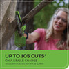 Greenworks 24V 6 In. Brushless Pruner Saw with 2.0 Ah Battery & Charger 2010202 707134