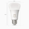 Hue 11w A19 E26 Start Kit 563296 536277