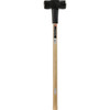 Do it Best 12 Lb. Double-Faced Sledge Hammer with 36 In. Hickory Handle 30920 373664