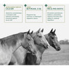 Standlee Forage Plus 40 Lb. Gastric Support Pellets Horse Feed 1175-30103-0-0 743029