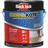 Black Jack Eterna-Kote 1 Gal. Silicone+ Roof Patch 5586-1-20