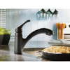 Moen Renzo 1-Handle Pull-Out Kitchen Faucet, Matte Black CA87316BL 434519