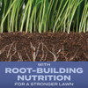 Turf Builder 16# Tb Heat Fescue Seed 18024 761966