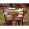Stromberg's Large Red Egg Basket PP006 750452